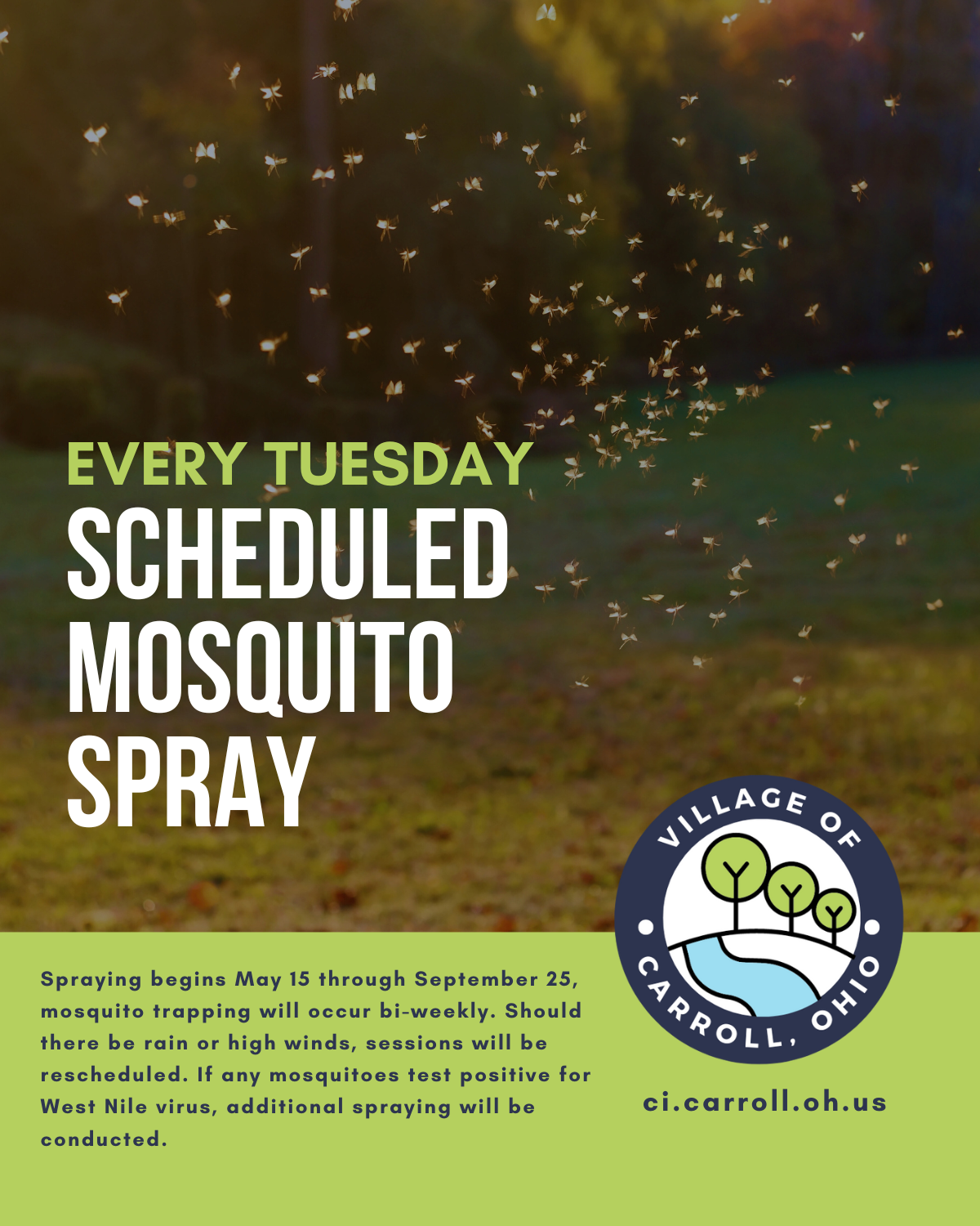 mosquito spray ad